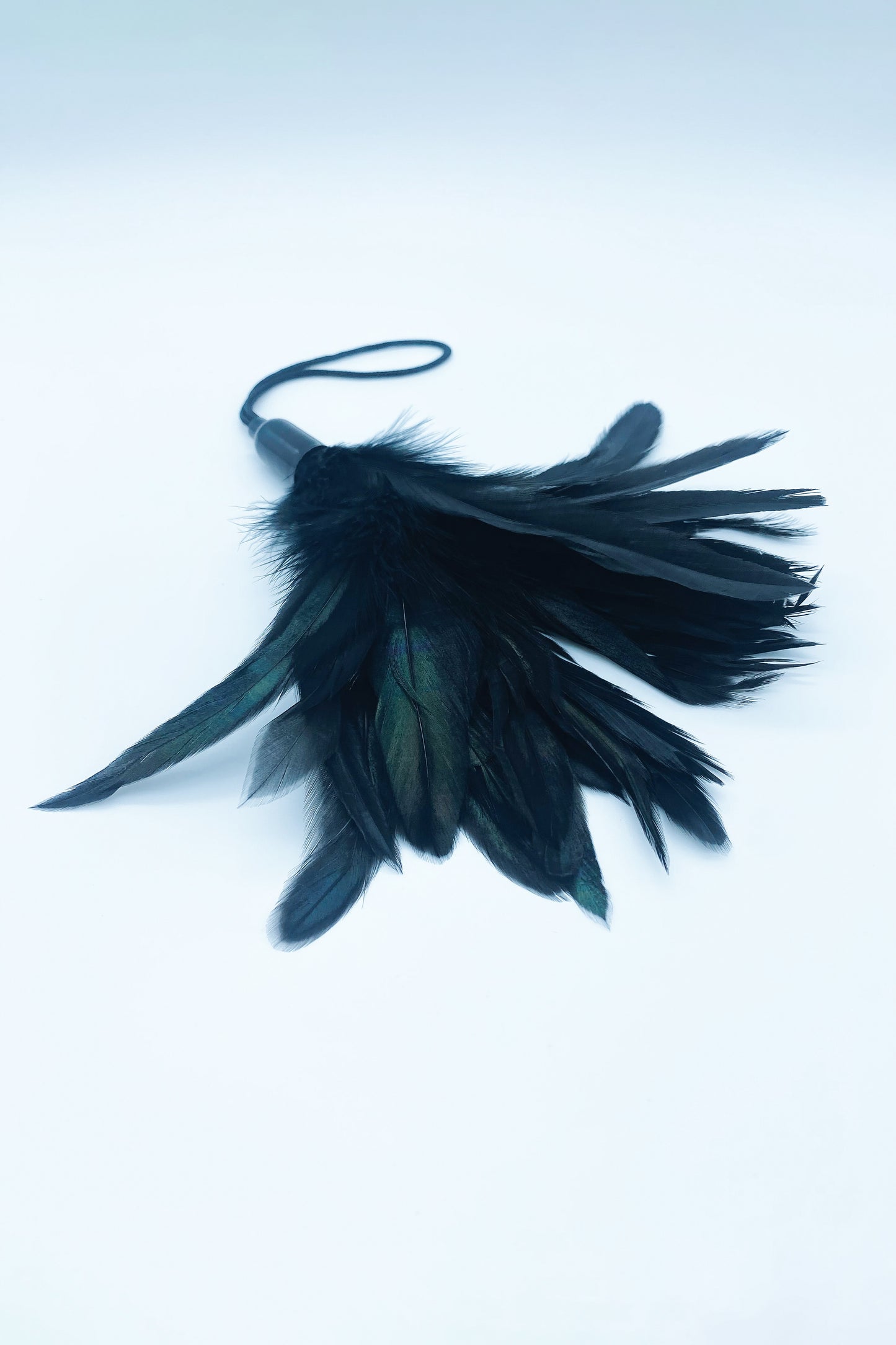 Midnight Tease Black Feather Tickler Foreplay Toy