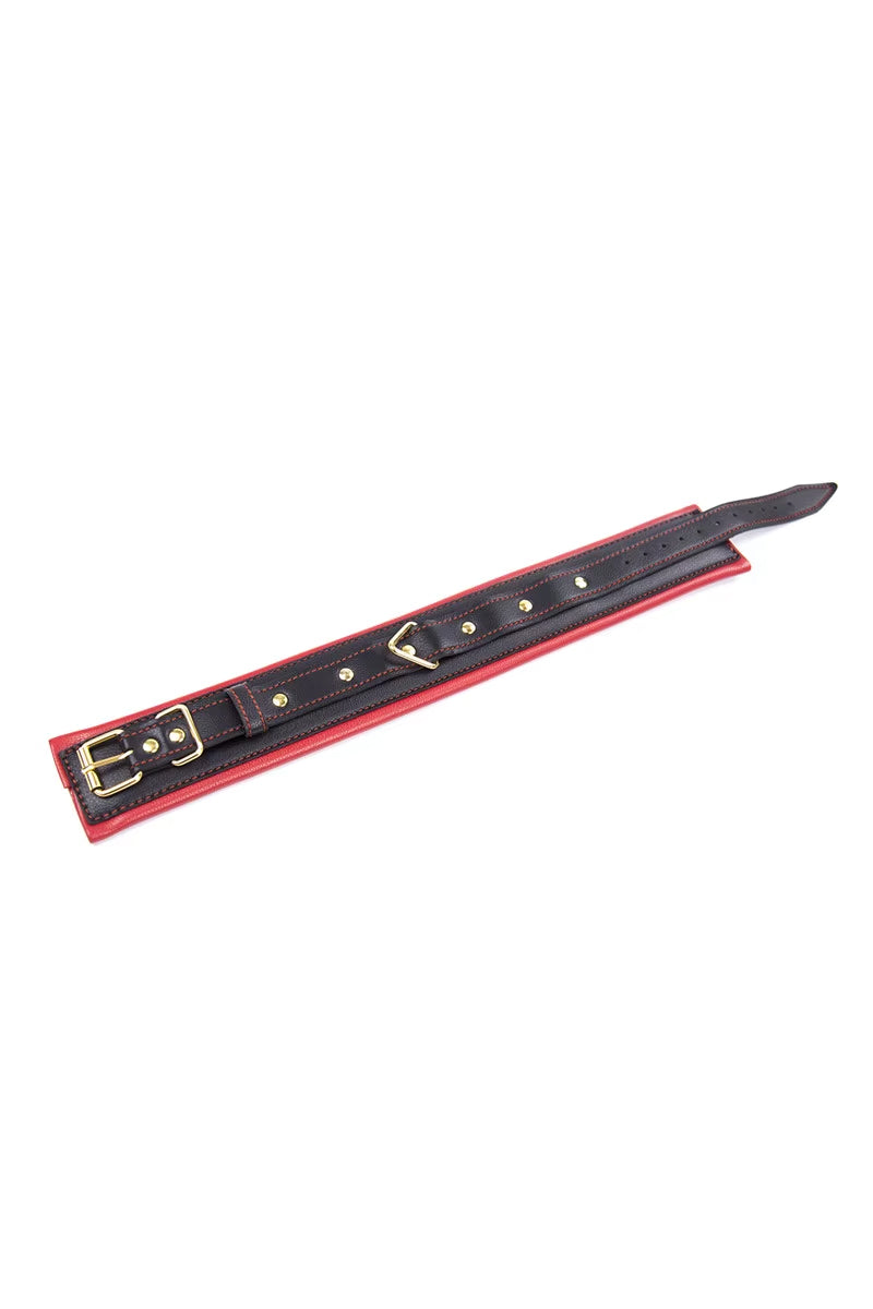 Premium BDSM Collar and Lead Set in Black and Red