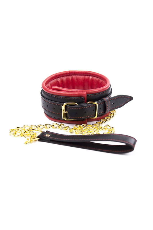 Premium Padded BDSM Collar with Detachable Chain